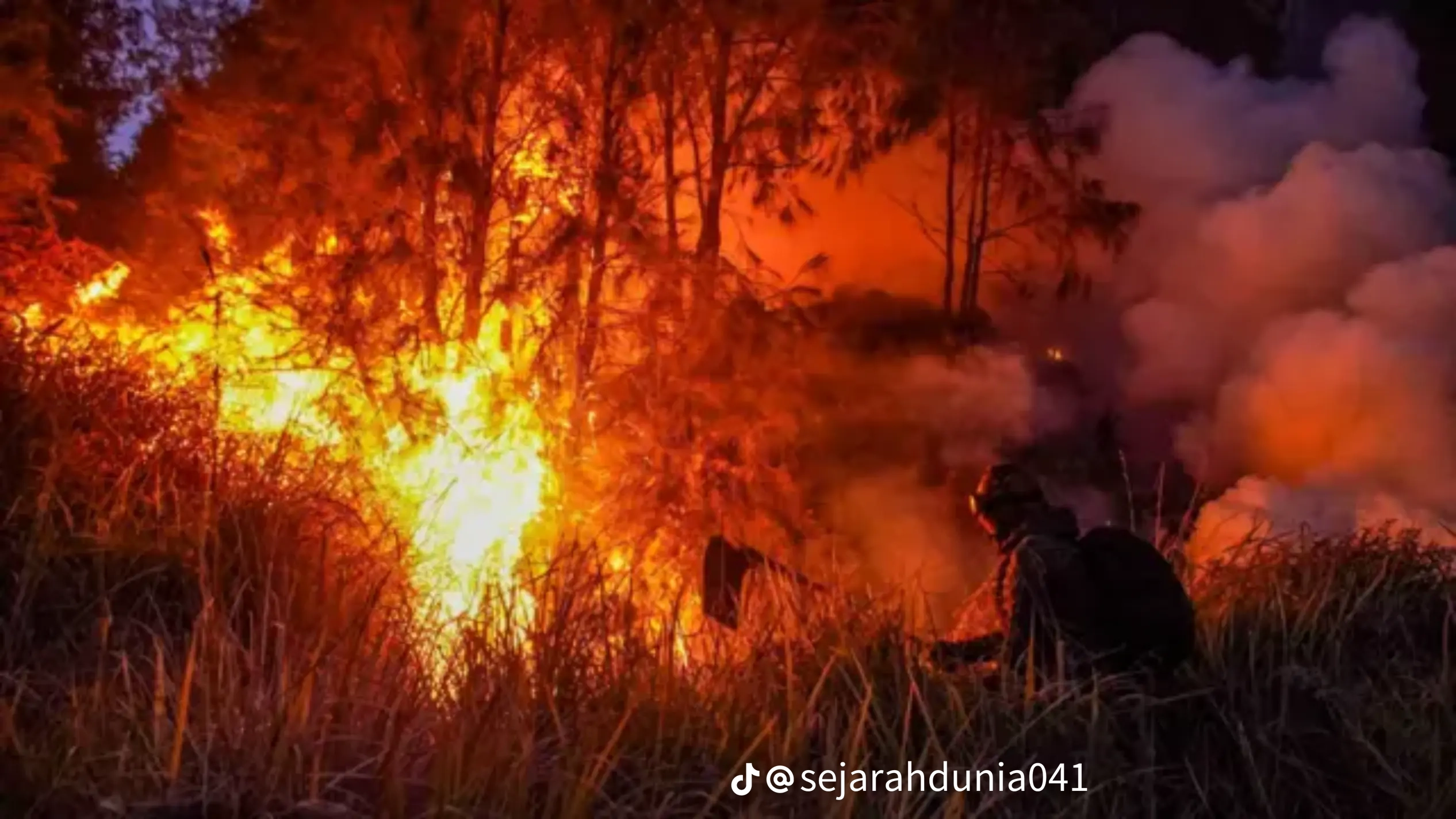 Gambar tersebut menggambarkan ilustrasi kebakaran hutan dan lahan (karhutla) di Kalimantan dengan gaya realistis seperti foto dokumenter.