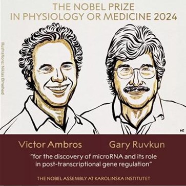 Victor Ambros